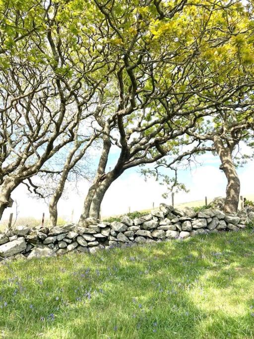 Cwt Y Bugail Hotell Barmouth Eksteriør bilde