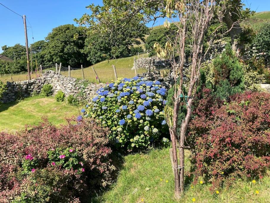 Cwt Y Bugail Hotell Barmouth Eksteriør bilde